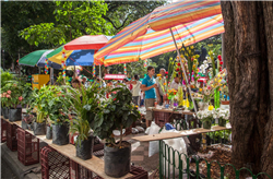 Parque de Bolívar Galería Actual