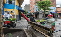 Las plazas que se volvieron parques Galería Actual