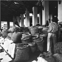 Mis barrios de Medellín Galería Histórica