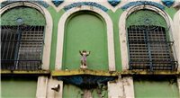 Fotografiar el Centro - Fotos de Carlos Amortegui