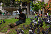 Palomas del Centro