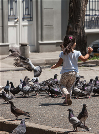 Palomas del Centro