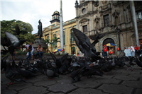 Palomas del Centro