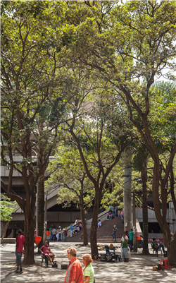 Parque de Berrío Galería Actual