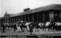 Antigua Plaza de Mercado