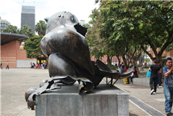 Pájaro del Parque de San Antonio