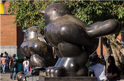 Pájaro del Parque de San Antonio