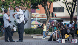 Parque de San Antonio Galería Actual