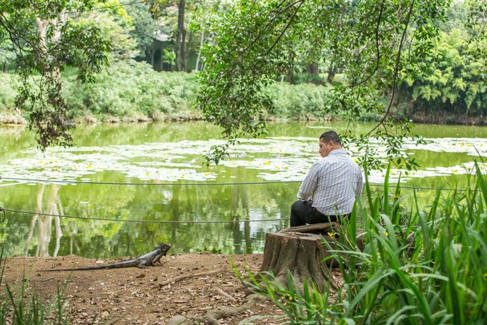 Un bosque centenario