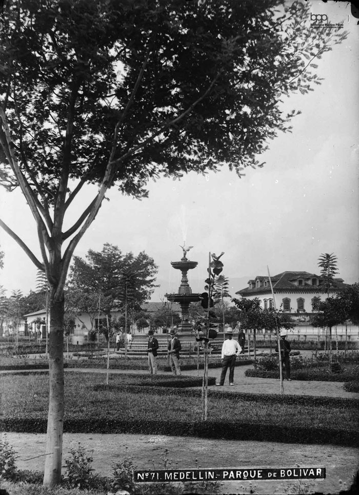 Cuando a Medellín le salieron árboles